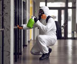 Best Mold Odor Removal Services  in El Paso, IL